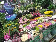 -三旗百汇商品城