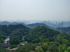 -大金鹰园