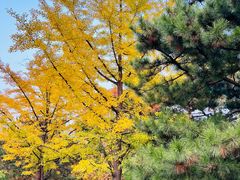 -北京西山国家森林公园