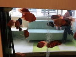 -杭州贝瑞斯美华妇儿医院·早孕·产检·儿科