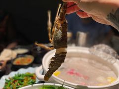 小青龙-龙门养心粥火锅(祥恒广场店)