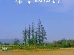 -良渚古城遗址公园