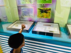 -上海昆虫博物馆