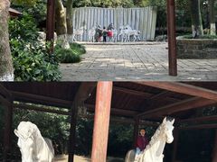 -白马涧龙池景区