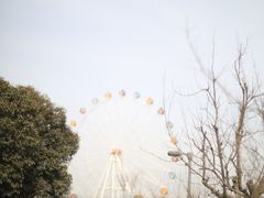 -西安浐灞国家湿地公园