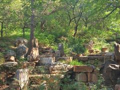 -北京西山国家森林公园