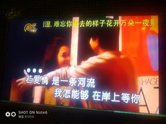 -他她纯乐party量贩KTV(升龙店)