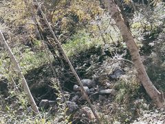 -驼梁风景区
