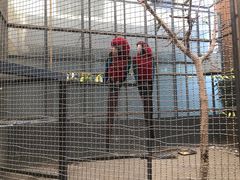 -南宫五洲植物乐园