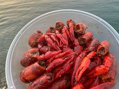 -丹水桥地锅鱼·翘嘴鲌·地方特色全鱼宴(丹江口大坝店)