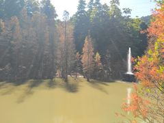 -广州市帽峰山景区