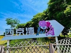 -西京湾花海