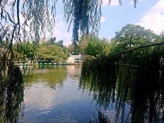 -翠湖公园