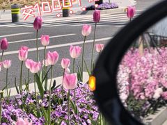 -上海大学(嘉定校区)