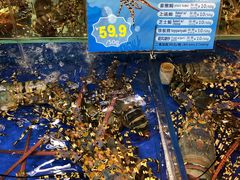 -东江海鲜酒家(艺都分店)