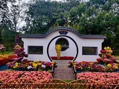 -上海共青森林公园