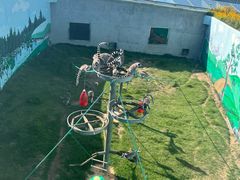 -西霞口神雕山野生动物世界