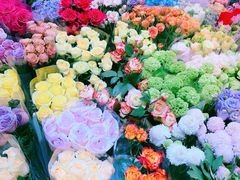 -双季花艺园艺市场(浦东店)