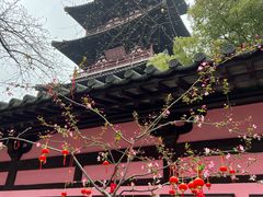 -枫桥景区