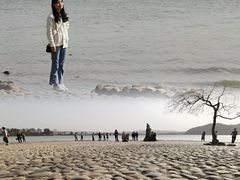 -东湖落雁景区