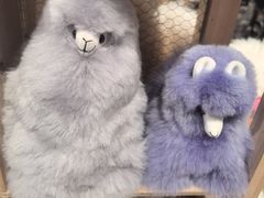 -番茄口袋(上海普陀区环球港店)