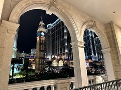 -澳门威尼斯人综合度假区