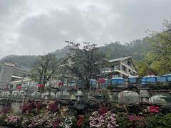 -老幺泉水鸡