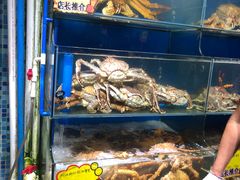 -蚝专家(北滘店)