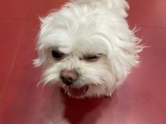 -和它·交个朋友·狗咖猫咖(爱琴海店)