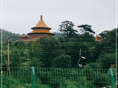 -磬锤峰森林公园