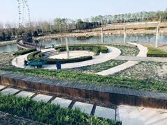 -东营·森林乐园