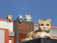 -向外鱼乐·土菜·虹鳟鱼
