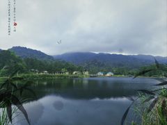 -海南热带雨林国家公园吊罗山景区
