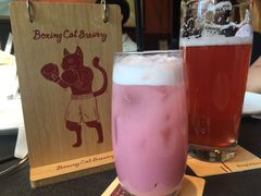 -Boxing Cat Brewery拳击猫精酿啤酒馆(永福店)