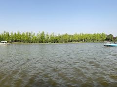 -石家庄市植物园