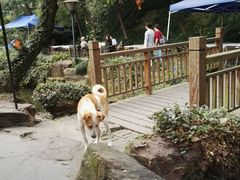 -兴福老面馆(寺路街店)