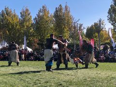 -九十九顶毡房(阜石路店)