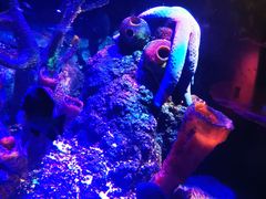 -沈阳海洋探索中心