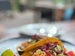 -Pistolera Mexican Cantina女枪手墨西哥餐厅(碧云路店)