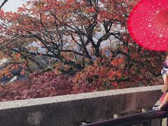 -有栖山 清光院 清水寺