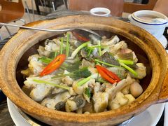 招牌焗多宝鱼-美极鲜食坊(宝安南路店)