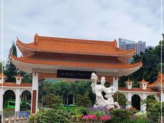 -深圳仙湖植物园