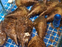 -吉源大排档·鱼生·海鲜(烧烤彩印厂店)