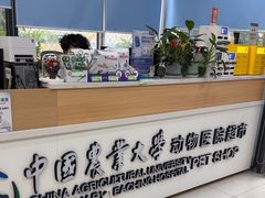 -中国农业大学动物医院