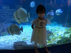 -烟台海昌鲸鲨海洋公园