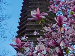-玲珑塔公园