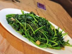 豆酱炒地瓜叶-辉记潮汕海鲜砂锅粥(林和西店)