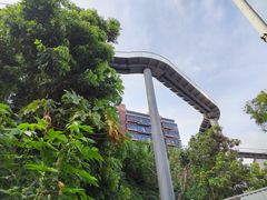 -金鸡山公园
