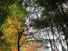 -敬亭山风景名胜区