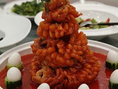 -丁老爷子苏香圆